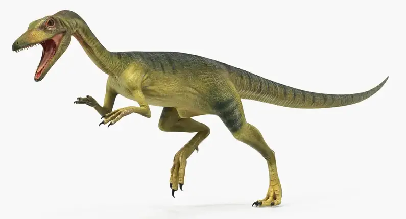 Dinosaur names -Compsognathus
