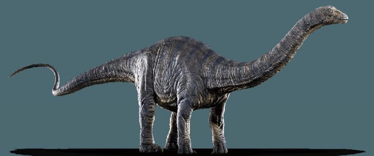 A Complete List of Dinosaur Names with Pictures and Information