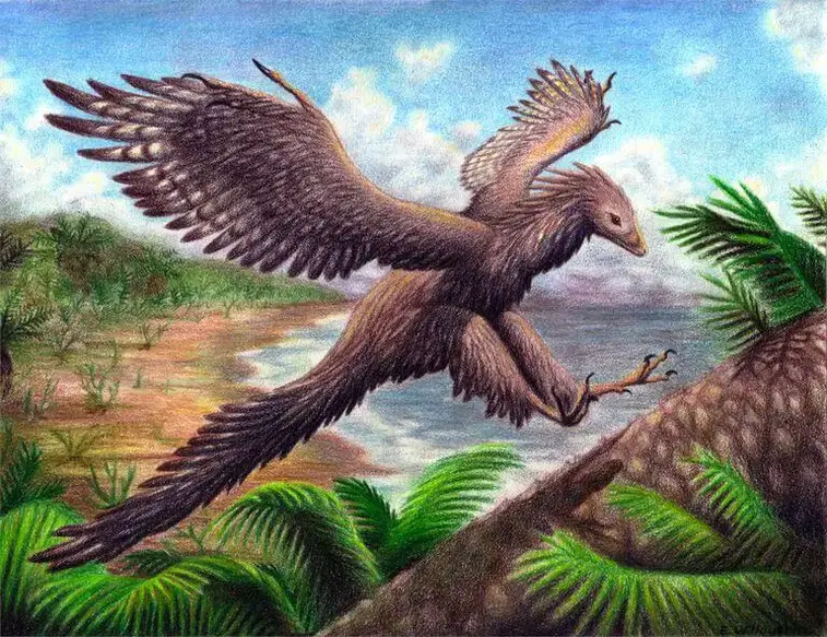 Dinosaur Names - Archaeopteryx