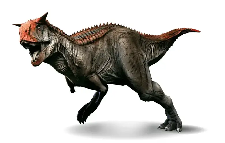 Dinosaur Names - Carnotaurus