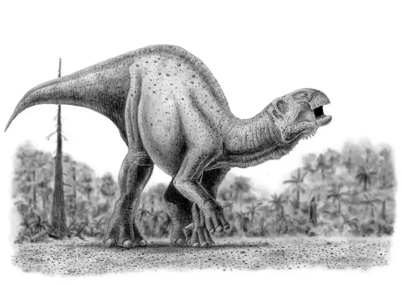 Dinosaur names - Iguanodon