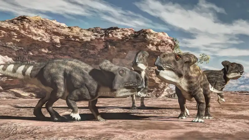 Dinosaur names - Protoceratops