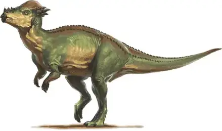 Dinosaur names - Stegoceras