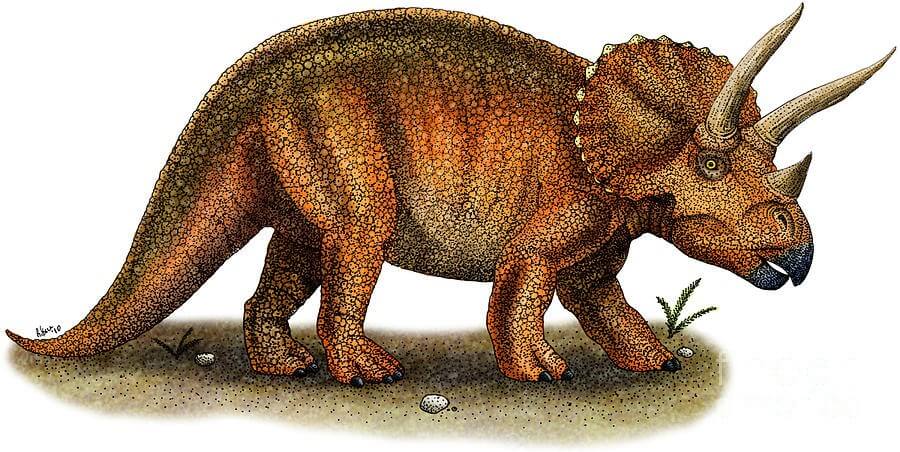 similar dinosaurs to triceratops