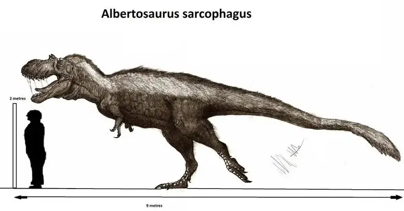 Dinosaur names - albertosaurus