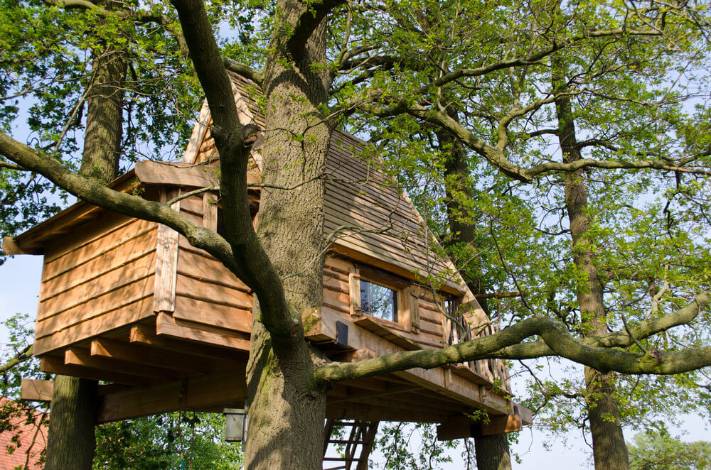 tree house