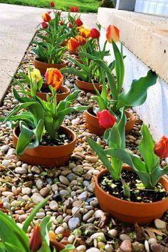 Artificial Plants - small backyard decorating ideas