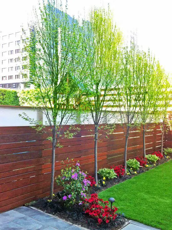 Simple Greenery Looks Idea - small backyard decorating ideas