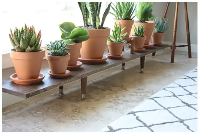 simple indoor diy plant stand