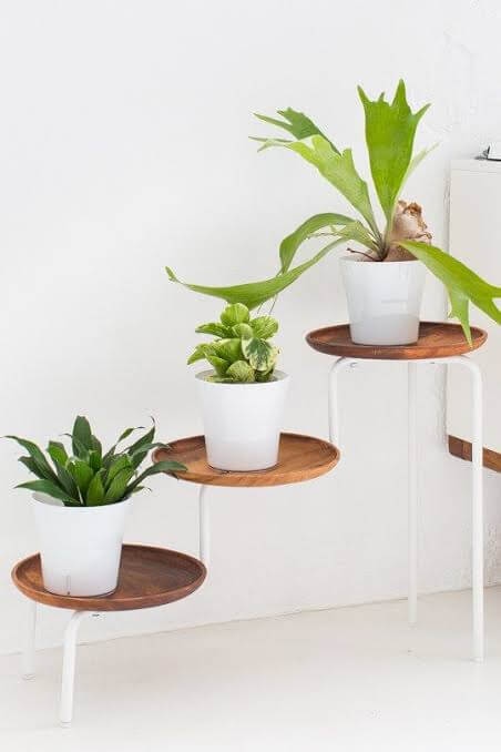 Minimalist Leveled Plant Stand