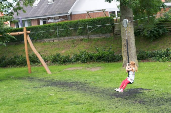 Backyard Zipline