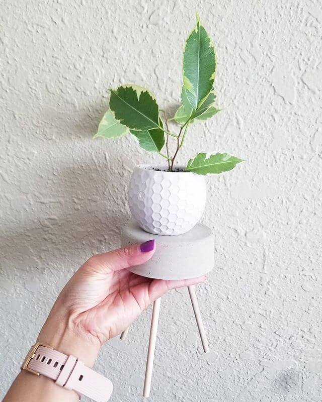 mini diy plant stand