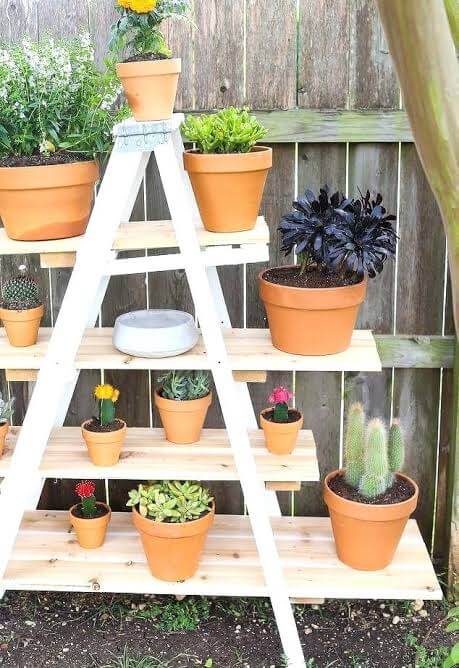 Outdoor ladder plant stands