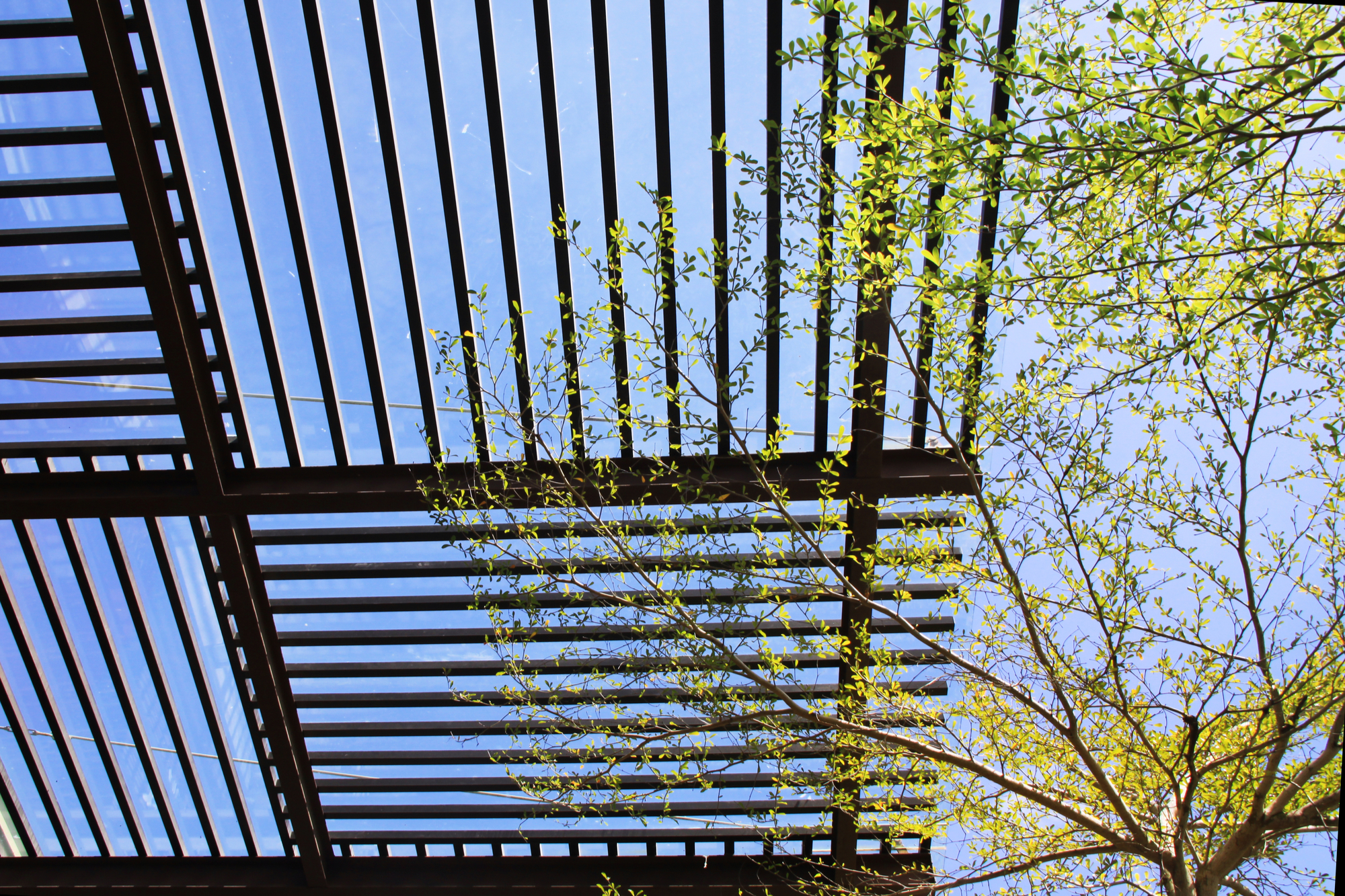 Modern Pergola with Juxtaposed Panels