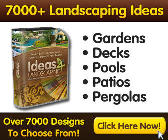 Landscaping Ideas