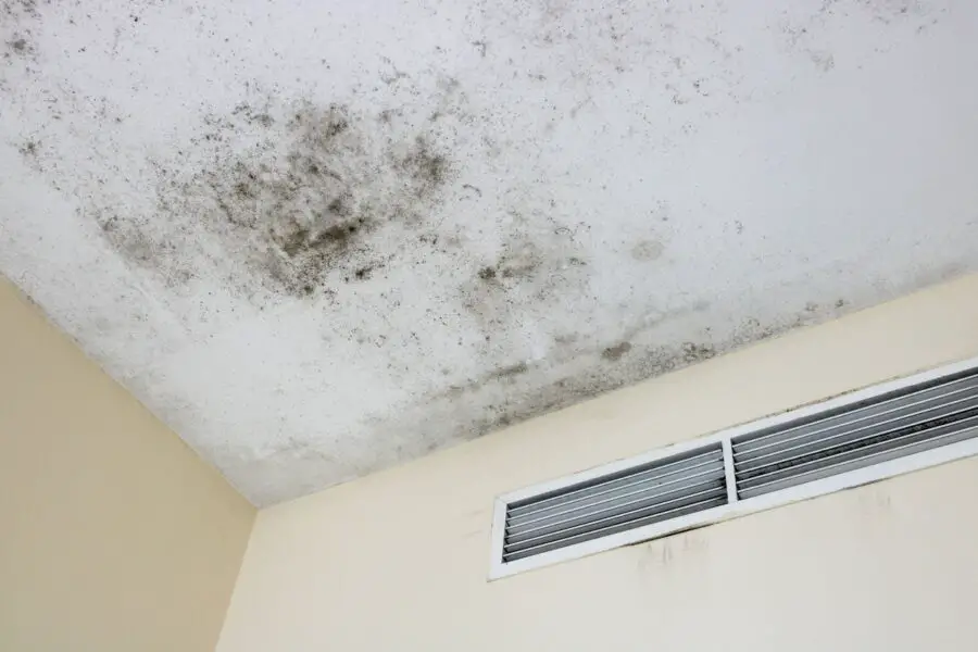 How To Remove Mold From Bathroom Ceiling