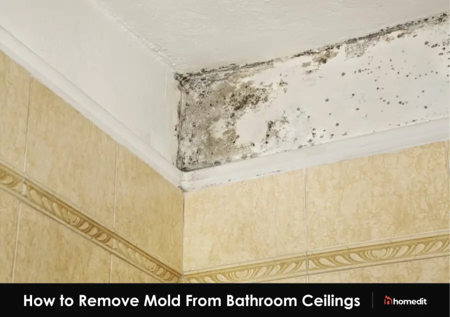 How To Remove Mold From Bathroom Ceiling