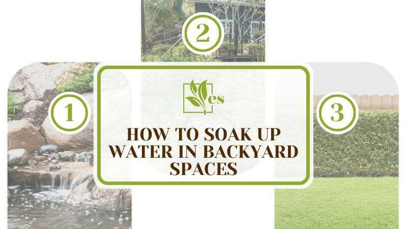 How To Soak Up Water In Backyard